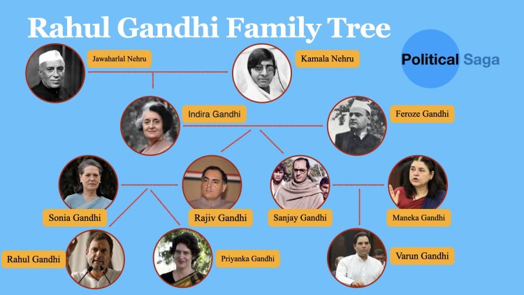 Rahul Gandhi Family Tree : Parents, Grand Parents, Siblings and Biography
